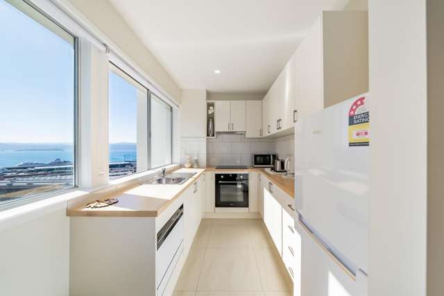 9a/19 Cottleville Terrace Thorndon_2