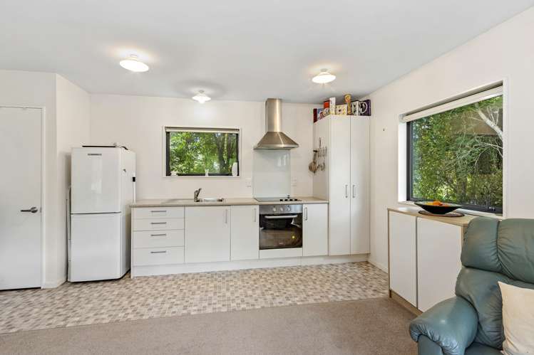 20 Terrace Road Leithfield_16