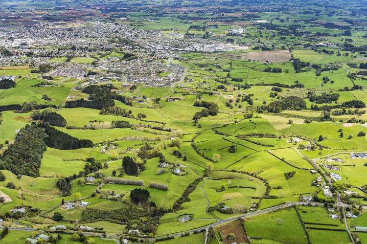 Runciman Road Pukekohe East_10