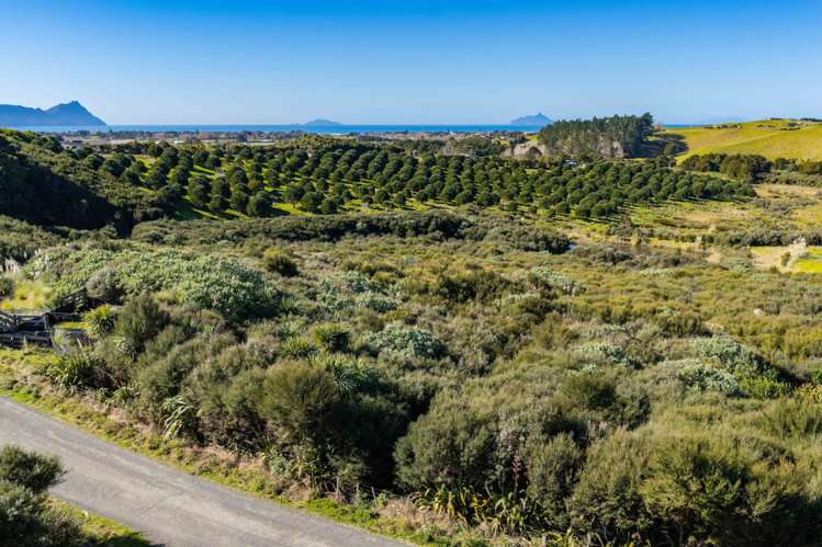 173 Prescott Road Ruakaka_12