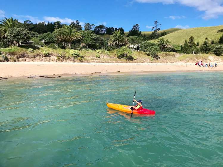 190 Pacific Ocean, Slipper Island (Whakahua) Thames_43