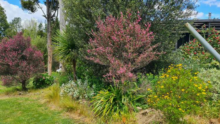 1 Knudsen Road Awarua_27