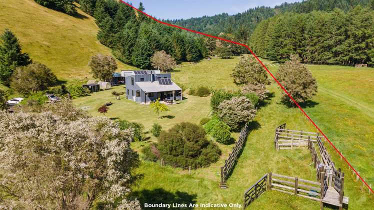 1058 Kohatu-Kawatiri Highway Kahurangi National Park_0