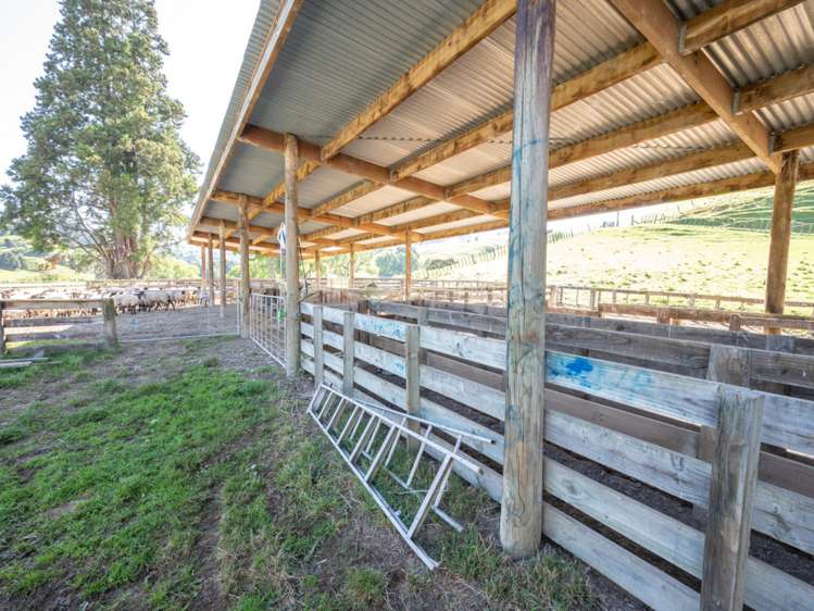 184 Lairdvale Road Taumarunui_12