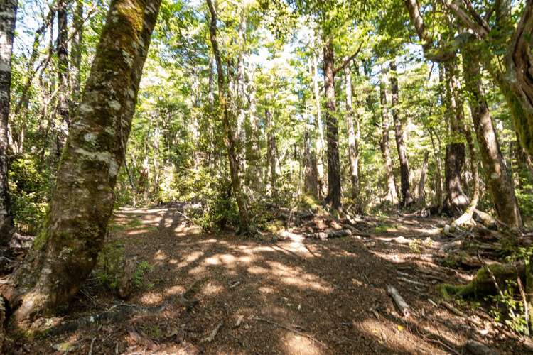 Brooklyn Valley Road Motueka_20