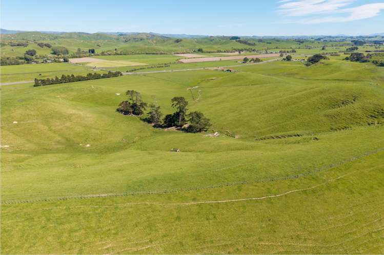 79816 State Highway 2 Woodville_5