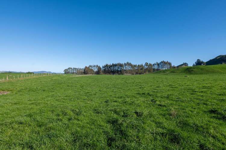 471 Poutakataka Road Ngakuru_27