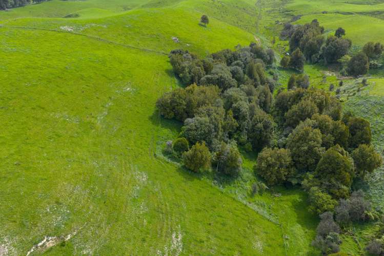 137 Zigzag Road Pohangina Valley_23