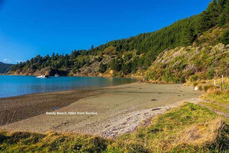 1476 Port Underwood Road Oyster Bay_0