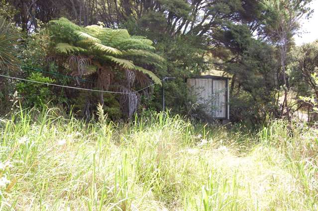 222 Blind Bay Road Great Barrier Island (Aotea Island)_4