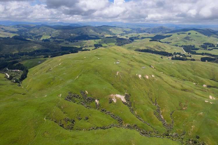 83 Towai Road Dannevirke_17