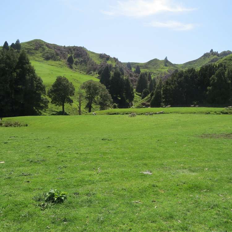 167 Whenuakura Road Waimiha-Ongarue_15