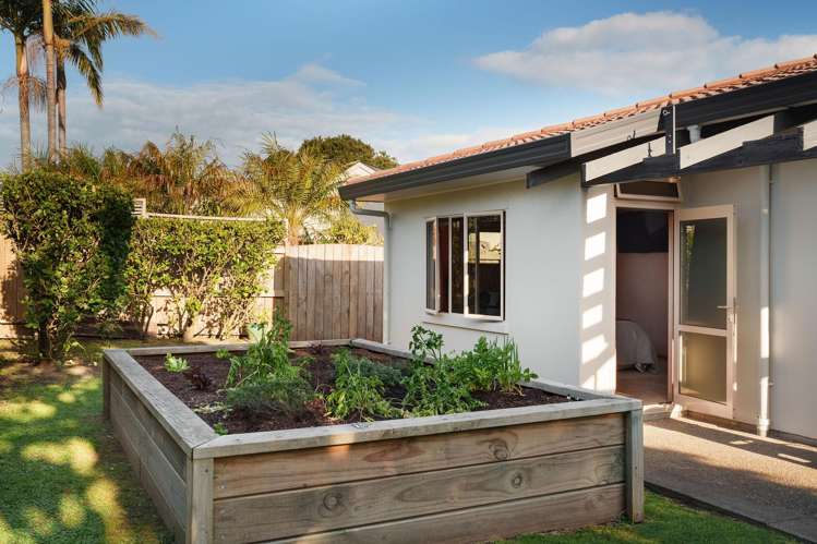 4 Mauritius Key Papamoa Beach_14