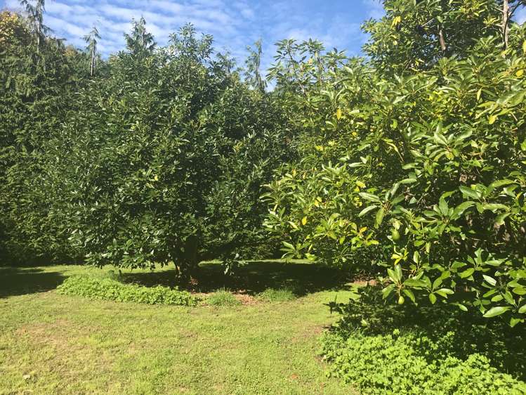 89c Merrick Road Pyes Pa_25