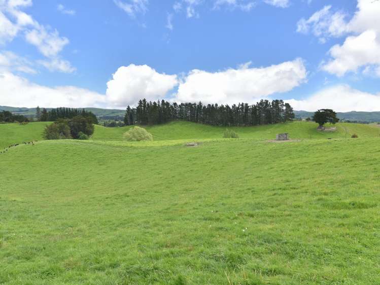 59 Levin Road Cheviot_18