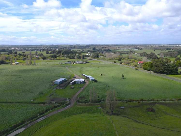 78 Brandon Hall Road Bulls_8