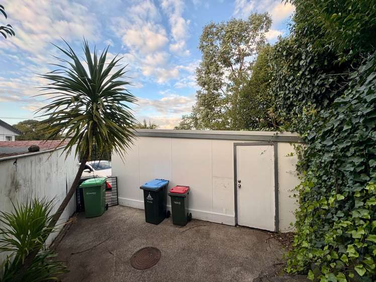 10A Carrs Place Ellerslie_18