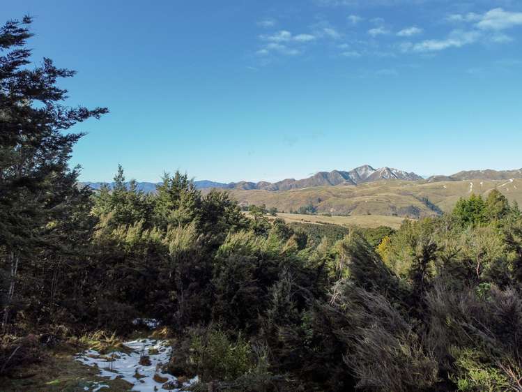 50 Terako Terrace Lyford_5