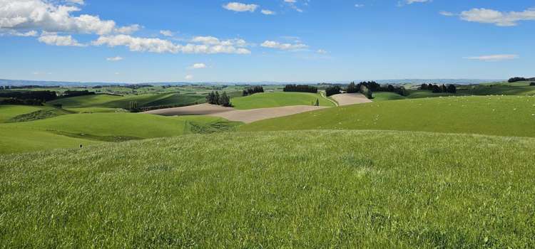 406 Byars Road Chatton North_15