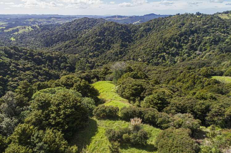 453 Mount Tiger Road Whareora_25