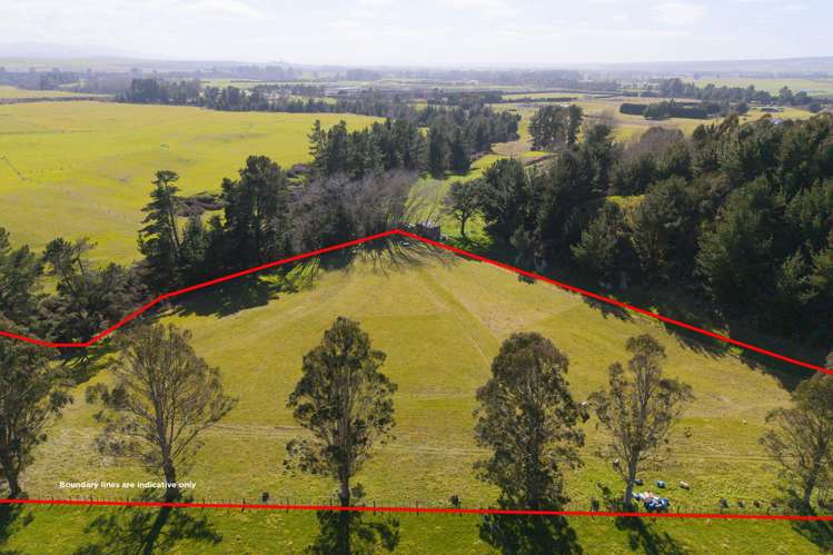 160 White Road Broadlands Forest_34