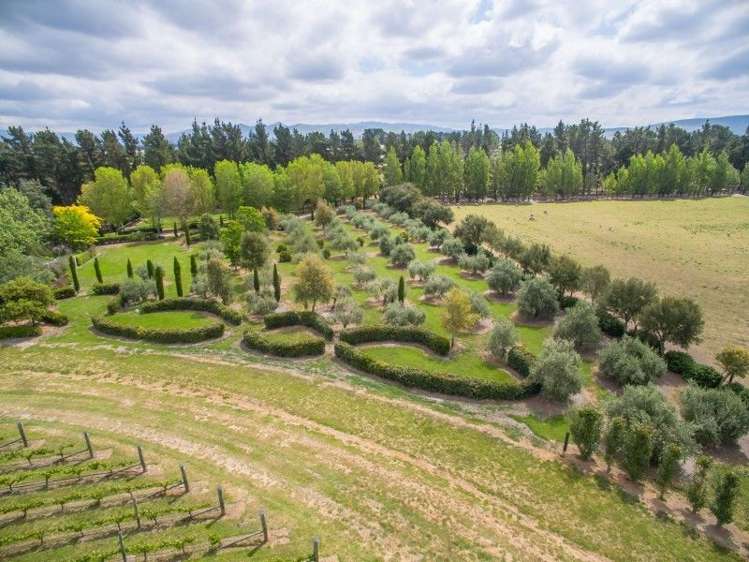 6 Anzac Street Waipara_12