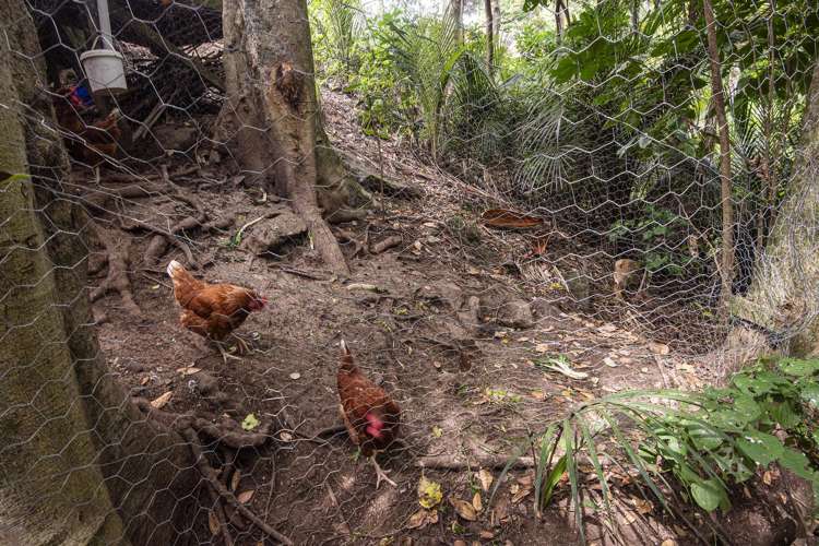 32a Kereru Street Maunu_22