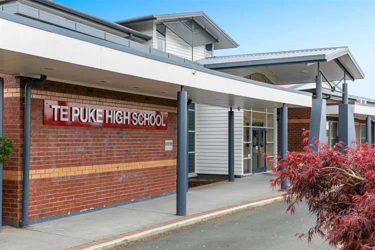 6 Mountbatten Place Te Puke_8