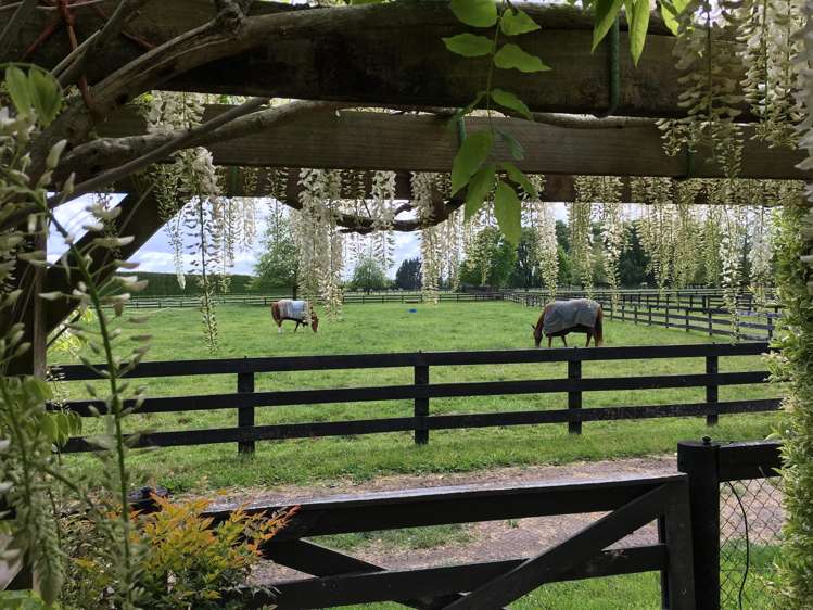 598 Marychurch Road Matangi_13