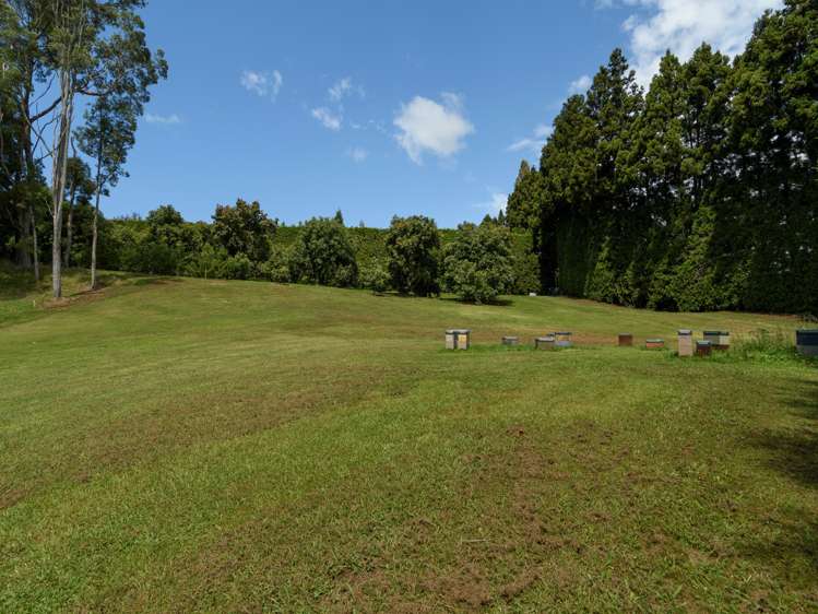 69 Francis Road Whakamarama_19