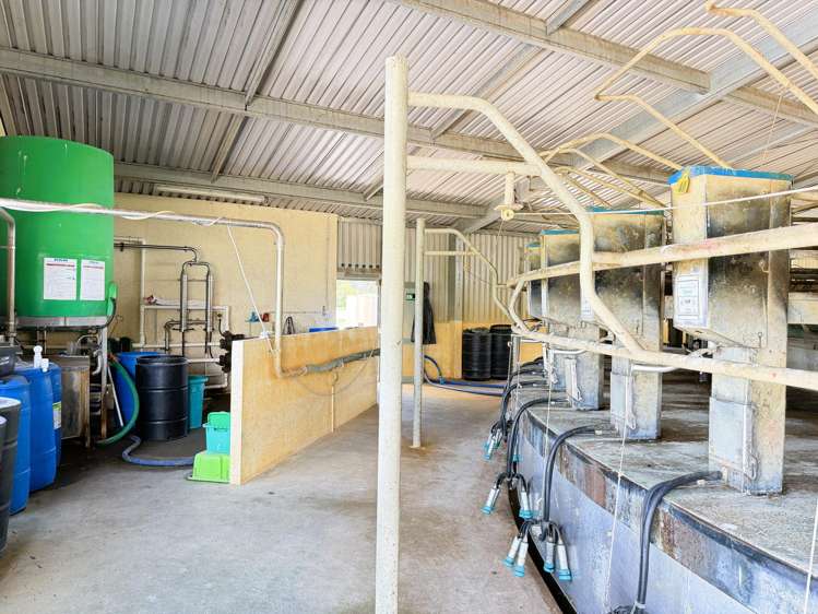 331 Simpson Road Ruawai_6