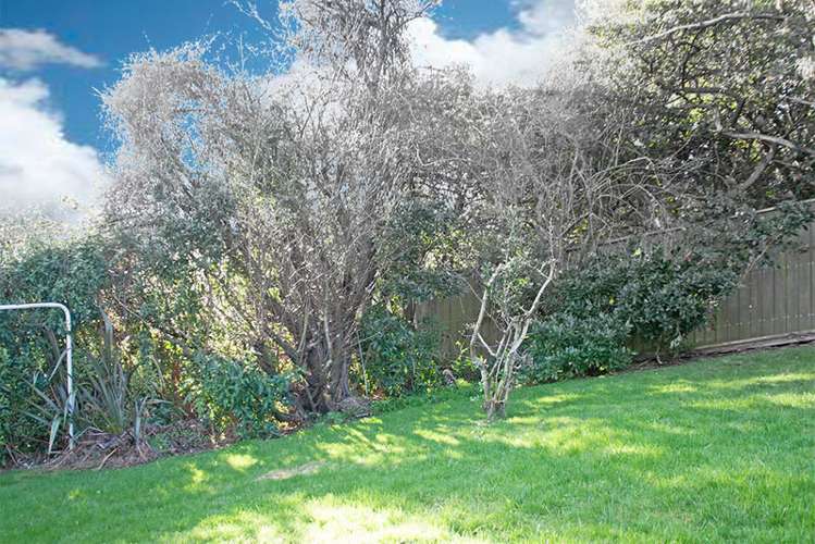 41 Sunbury Street Andersons Bay_12