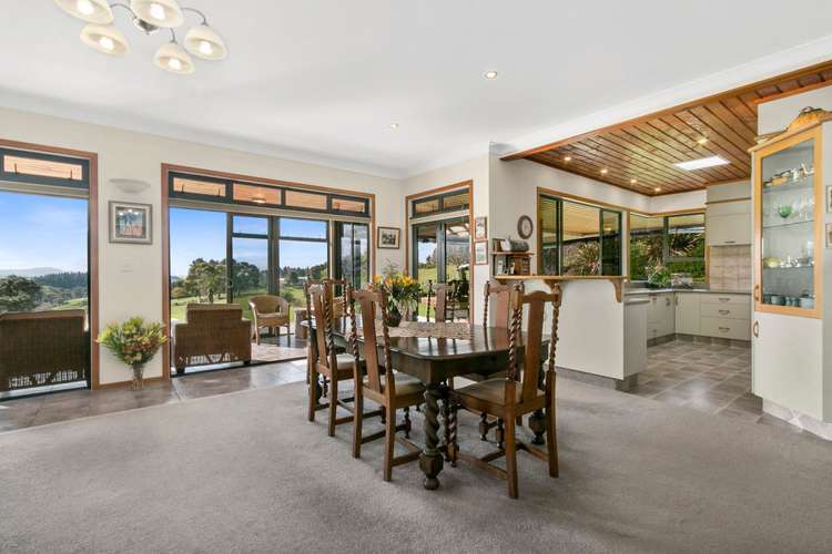 426 Esdaile Road Whakamarama_5