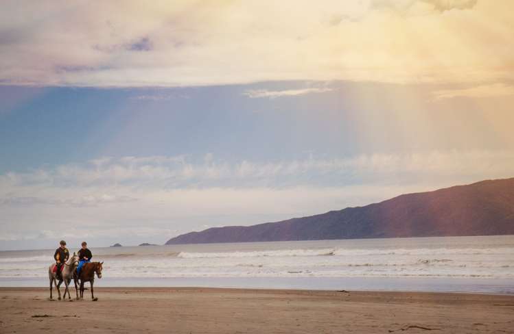 6 Paetawa Road Peka Peka_33