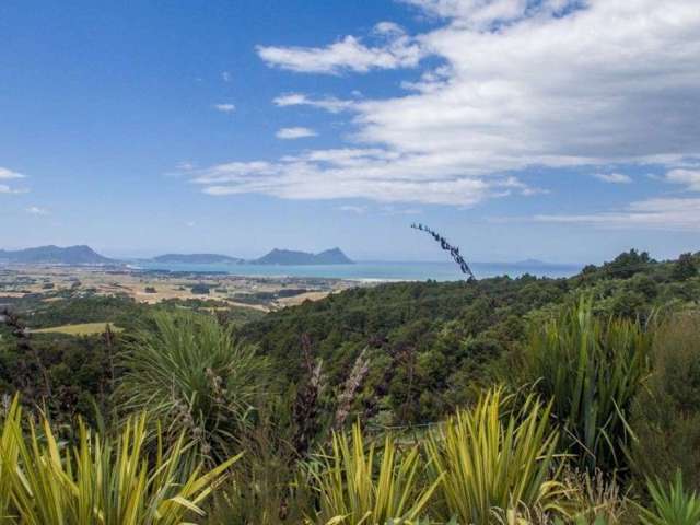 442 Prescott Road Ruakaka_4