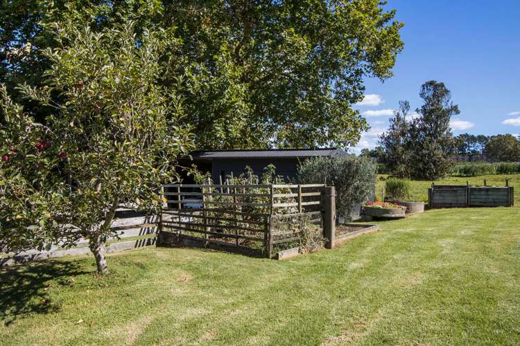 252A Kauri Point Road Katikati_23