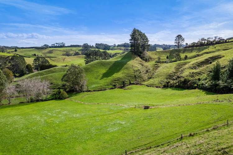 402 Hursthouse Road Tarurutangi_35