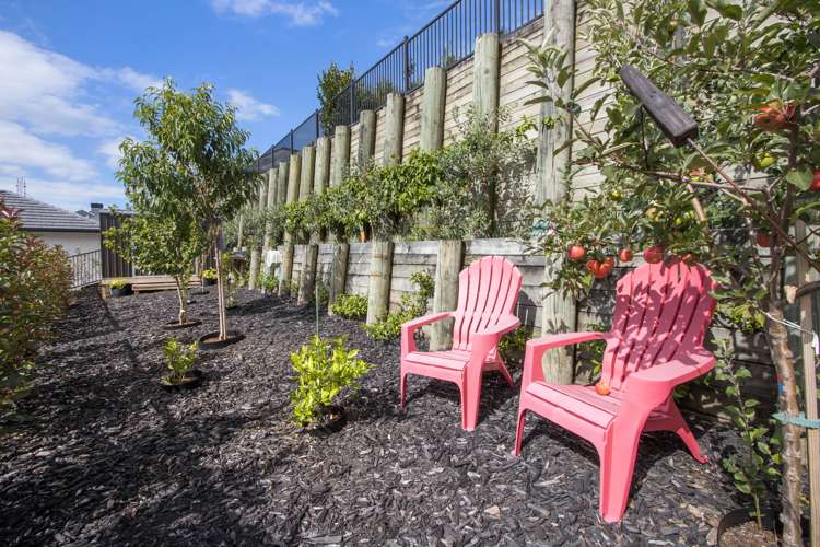 2 Te Kaka Place Omokoroa_29