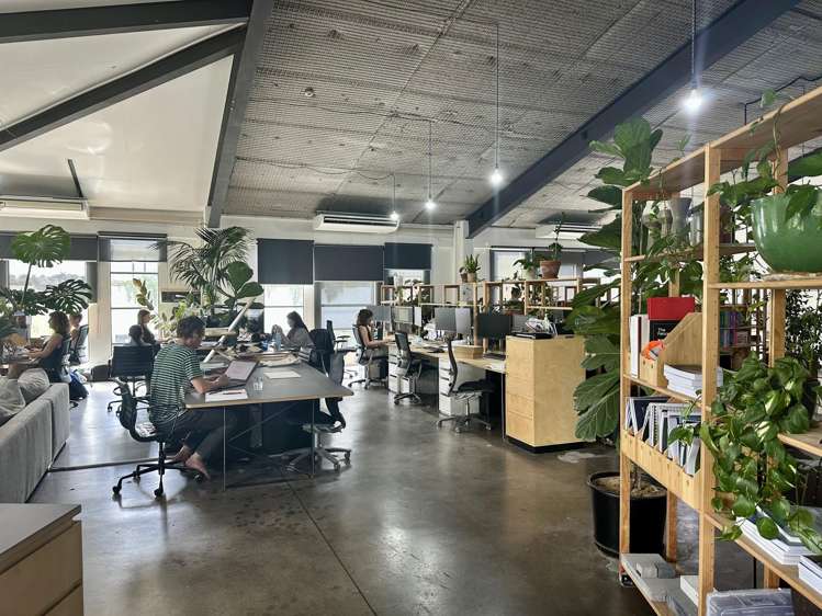 21 Scanlan Street Grey Lynn_2