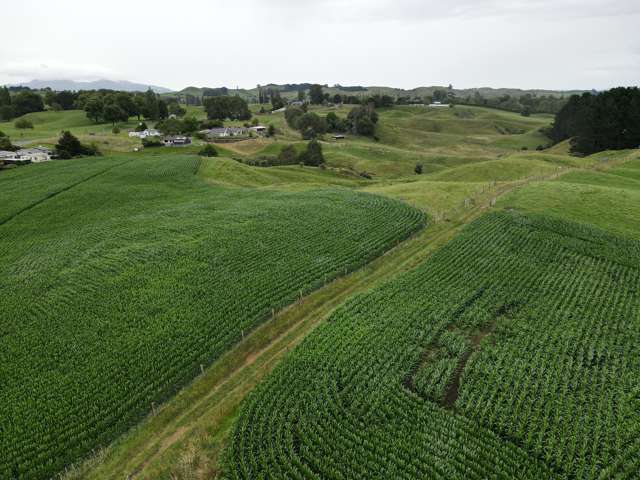 69 Overdale Road Putaruru_3