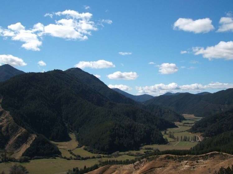 152 Kenningtons Road Havelock_16