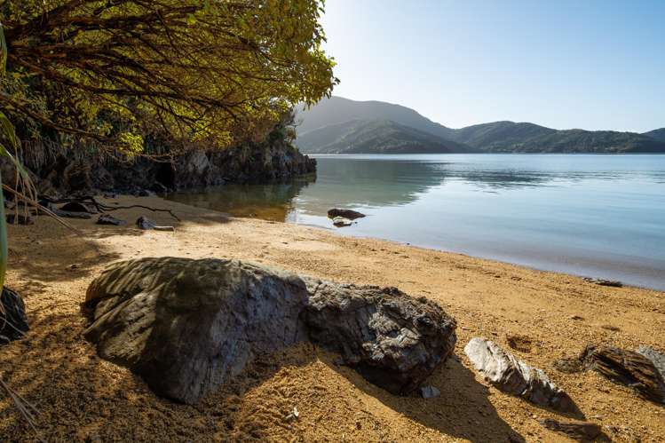 Cherry Bay, Ruakaka Bay Marlborough Sounds_20