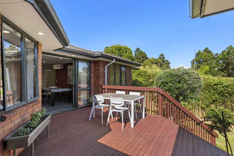 10b Cradock Street Avondale_1