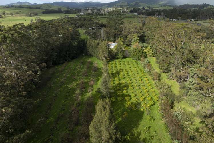 6934 State highway 1 Kaitaia_28