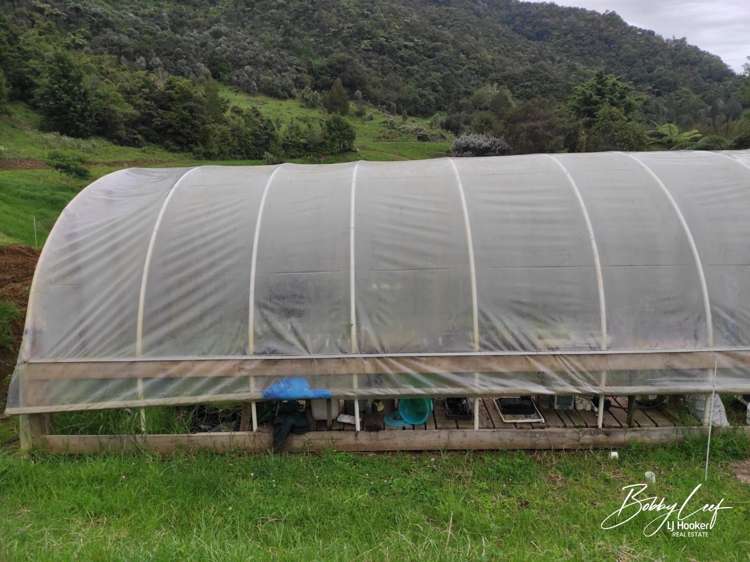 139 Warner Road Takahue_15