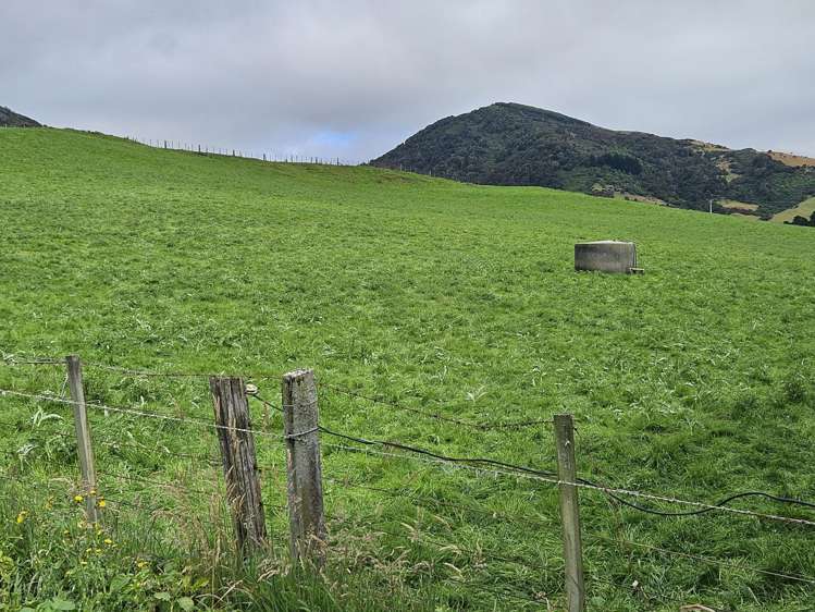 1551 Owaka Valley Road Owaka Valley_29