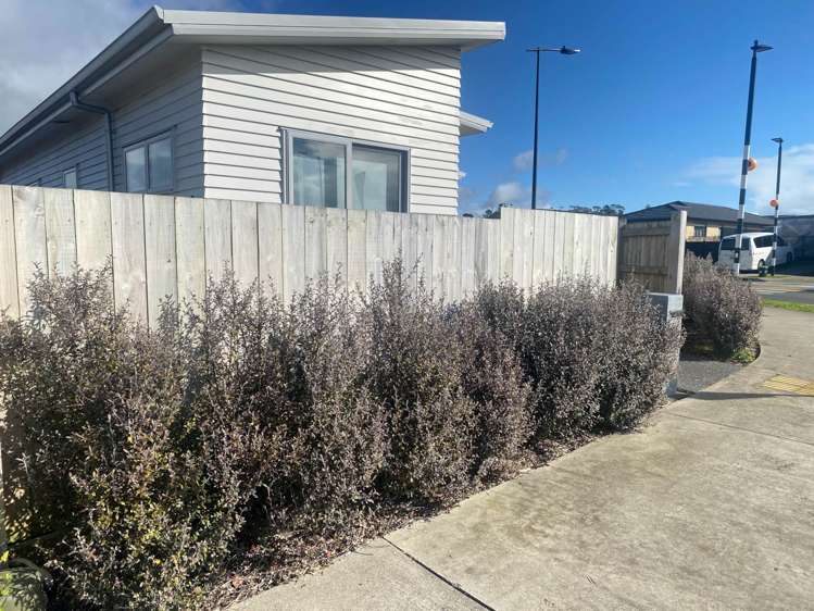 41 Te Manaki Street Pukekohe_9