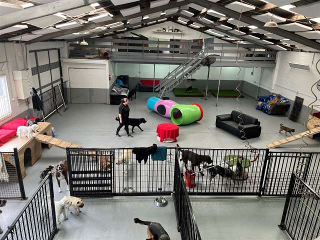 156 Antigua Street Sydenham_3