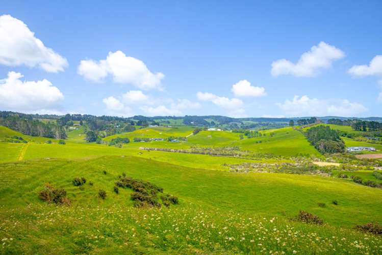 515 Kahikatea Flat Road Waitoki_15