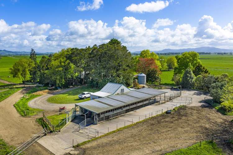 88 Davies Road Taupiri_10